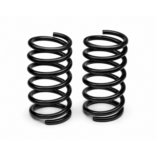 Lowering Springs
