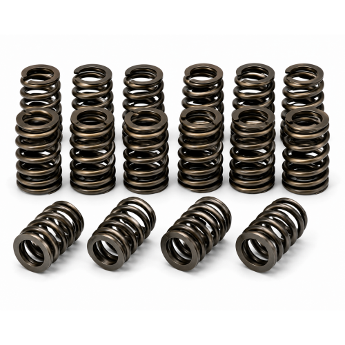 Valves Springs