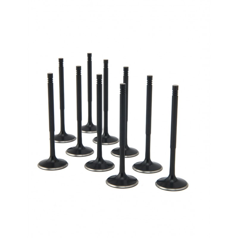 Audi 2.5L RS3, TT-RS ZRP Intake Valve Black Nitride Std(Set of 10)