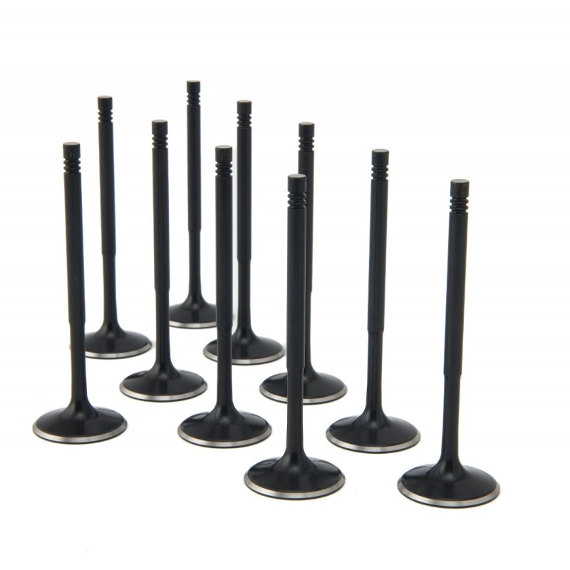 Audi 2.5L RS3, TT-RS ZRP Intake Valve Black Nitride Std(Set of 10)