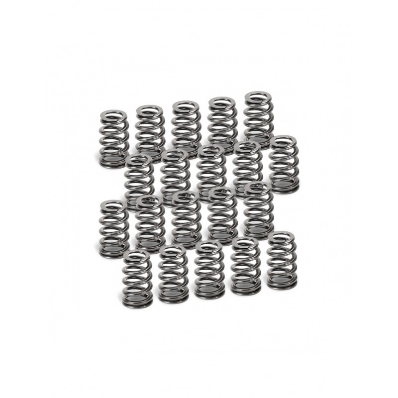 Audi 2.5L TT-RS, RS3 Supertech Beehive Single Valve Spring Set