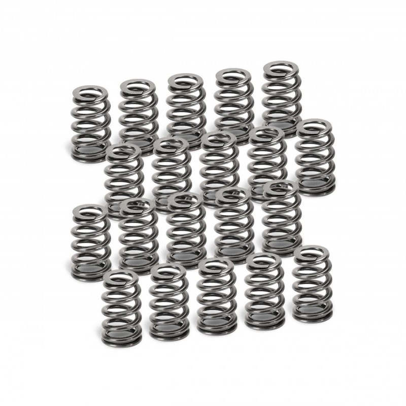 Audi 2.5L TT-RS, RS3 Supertech Beehive Single Valve Spring Set