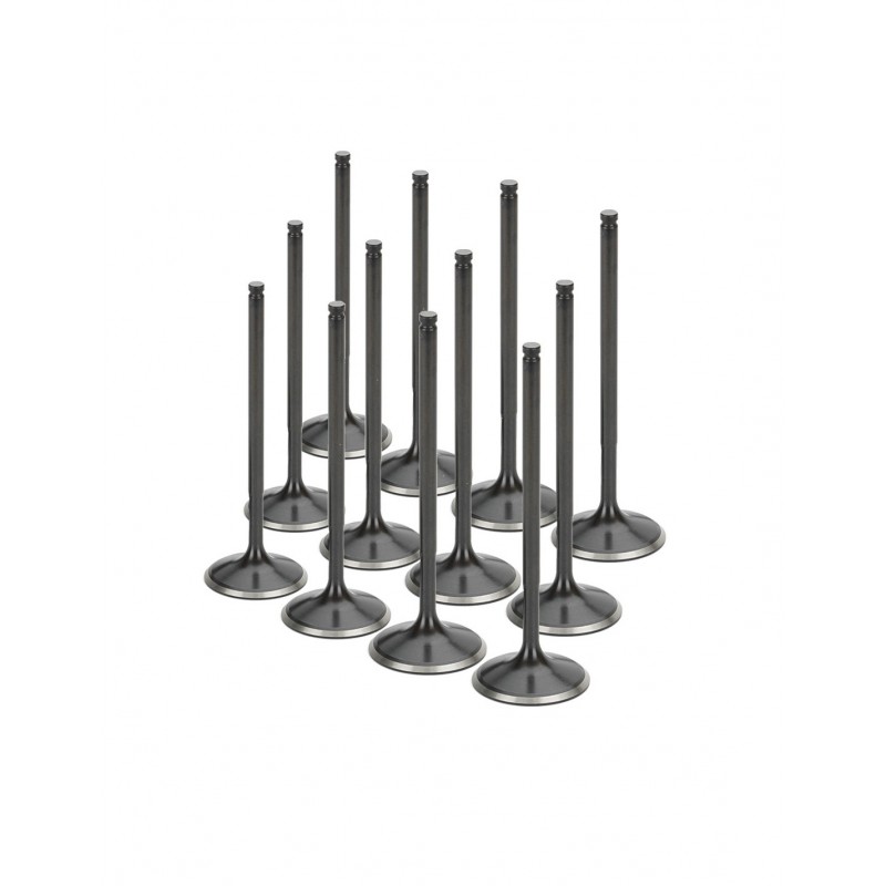 Audi 2.7L Turbo (APB) Supertech Exhaust Valve Set