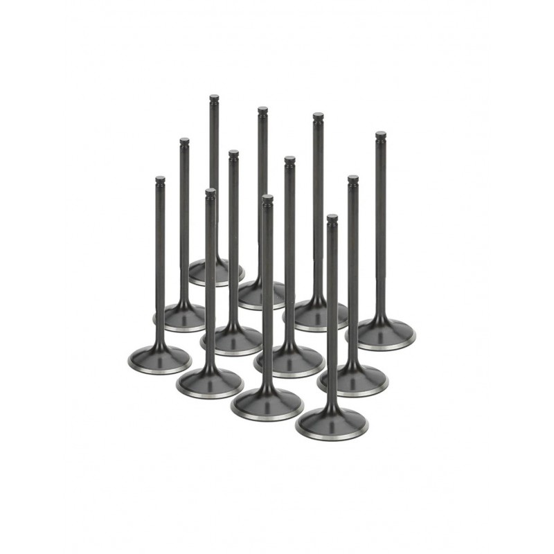 Audi 2.7L Turbo (APB) Supertech Exhaust Valve Set (Single Groove)