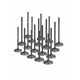 Audi 2.7L Turbo (APB) Supertech Intake Valve Set