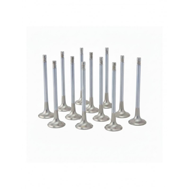 Audi 3.0L RS4, RS5 (EA839) ZRP Exhaust Valve Inconel Std (Set of 12)