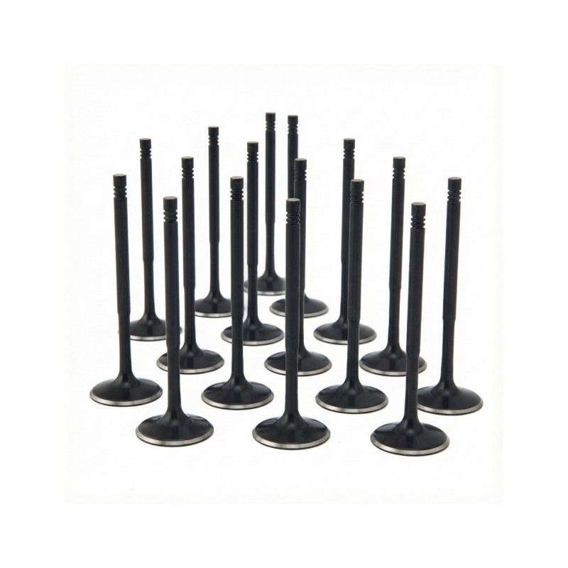 Audi 4.2L R8 32v 8v FSI ZRP Intake Valve Black Nitride Std (Set of 16)