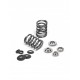 Audi 5.2L R8 V10 Supertech Single Valve Spring kit