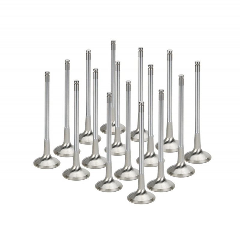 Audi A8 S4 RS6 4.2L 40v V8 Supertech Exhaust Valve Set (Single Groove) Audi A8 S4 RS6 4.2L 40v V8 Supertech Exhaust Valve Set (Single Groove)