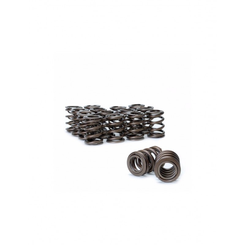 Subaru EJ20 / EJ25 WRX-STi Ferrea Dual Valve Spring Kit (80lbs)