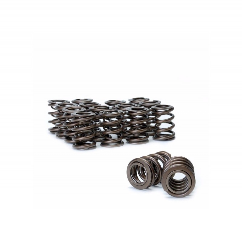 Subaru EJ20 / EJ25 WRX-STi Ferrea Dual Valve Spring Kit (80lbs)