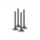 Supertech Black Nitrided Exhaust Valve Set