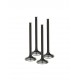 Supertech Black Nitrided Intake Valve Set