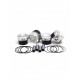VW 1.4L TSI (2012-Pre) ZRP Forged Pistons by Wossner