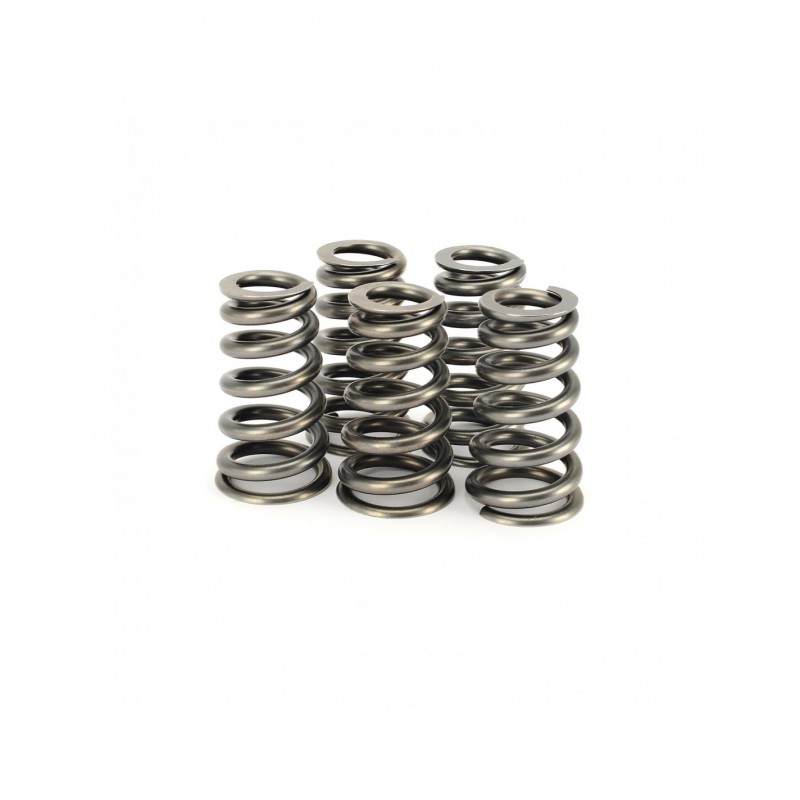 VW 1.8L Turbo 20v Ferrea Valve Spring Kit