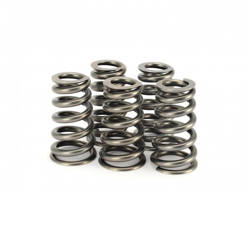 VW 1.8L Turbo 20v Ferrea Valve Spring Kit