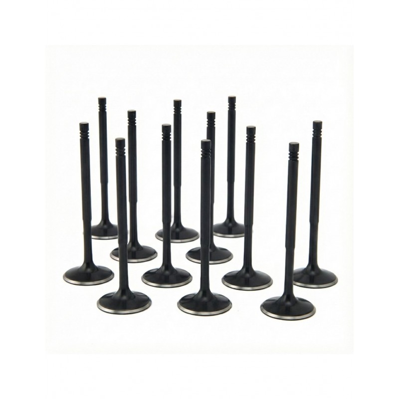 VW 1.8T 20v ZRP Intake Valve Black Nitride Std (Set of 12)